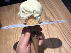 -野人先生现做冰淇淋(西安赛格店)