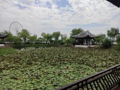 -无锡蠡湖国家湿地公园-蠡园
