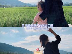 -艾米稻香小镇