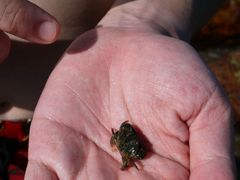 android_upload_pic-西涌国际滨海旅游区