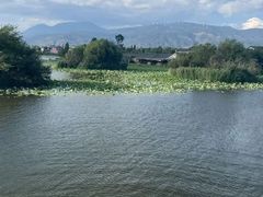 -大理洱源西湖景区