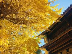 -大理地热国