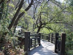 -白马涧龙池景区