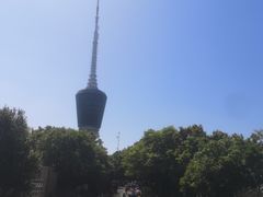 -梧桐山风景名胜区