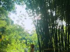 -咸宁万豪温泉谷度假区