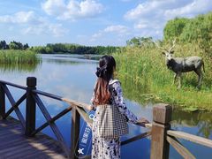 -溱湖国家湿地公园