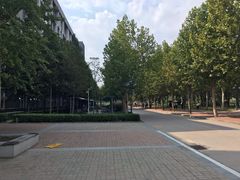 -河南财经政法大学(郑东校区)