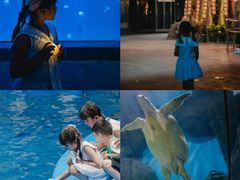 -福州罗源湾海洋世界旅游区