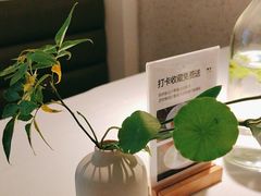 -春树下·树屋花房西餐厅(罍街AS1980店)