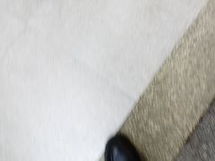 -湖锦酒楼·旗舰店(三阳总店)