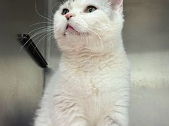 -达爱动物医院·犬猫分区·CT·复杂眼科(远洋山水分院)