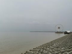-奉贤海滩