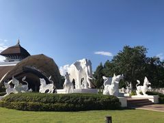 -清迈夜间动物园