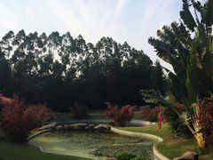 iphone_upload_pic-厦门悦华酒店