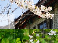 -莫愁湖公园