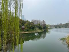 -尚贤河湿地