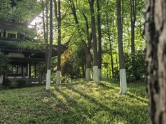 -范蠡湖公园