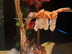 -蟹犇前•帝王蟹雪蟹(陆家嘴店)