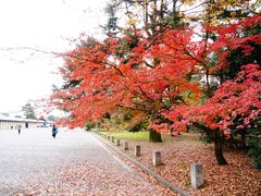 -京都御所