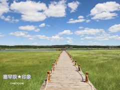 -塞罕坝国家级自然保护区