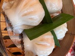 招牌虾饺妹-虾饺妹·酒家(海珠广场店)