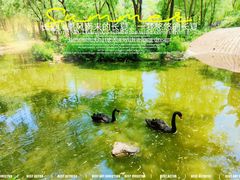 -济南野生动物世界