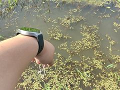 -教师之家赵家羊汤馆(东青龙街店)
