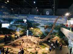 -自贡恐龙博物馆