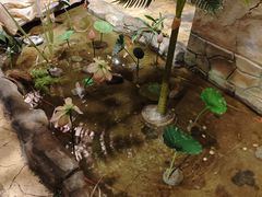 -城墙拐拐火锅(三峡广场黑金冠店)