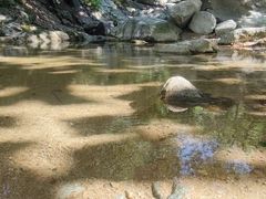 -西安祥峪森林公园