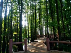 -东湖落雁景区