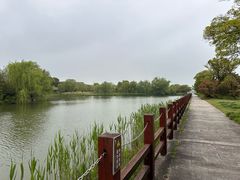 -苏州太湖国家湿地公园