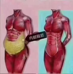 -香薇妮丝·定制减肥·身材管理