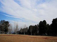 -北京西山国家森林公园