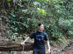 -西双版纳基诺山寨