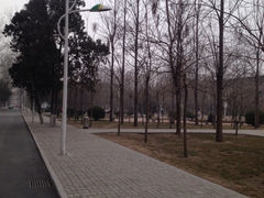 -河南师范大学(主校区)