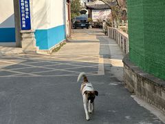 -丝绸小镇荻港古村