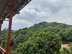 -东莞植物园