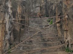 -海南热带野生动植物园