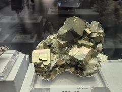 -湖南省地质博物馆