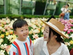 -石家庄市植物园