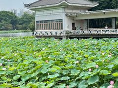 -荔湾湖公园