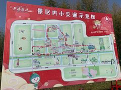 -黄海国家森林公园