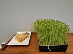-今日炊牛·潮汕牛肉火锅(华采天地店)