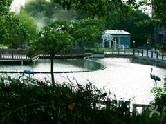 -苏州河梦清园环保主题公园