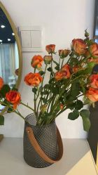 -Cream88颜皮肤管理中心