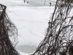 -望溪公园