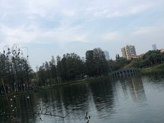 -四海公园(南山区)
