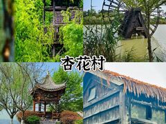 -杏花村文化旅游区
