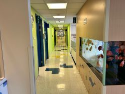 -杭州贝瑞斯美华妇儿医院·早孕·产检·儿科